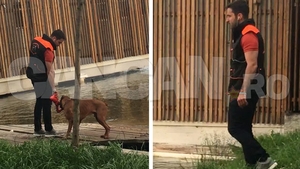 Câinele-vedetă al lui TUDY! Îşi antrenează… lăbuţele în parc!