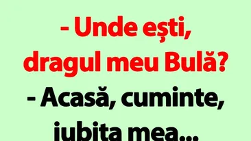 BANC | Unde ești, dragul meu Bulă?