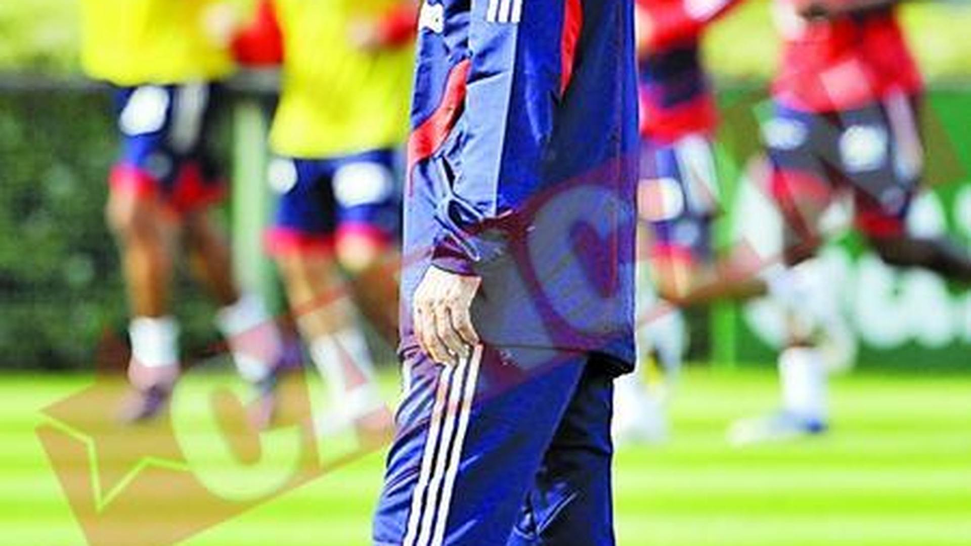 Francezii pot paria pe demiterea lui Domenech