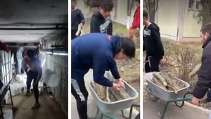 Imagini revoltătoare la Constanța. Elevi puși la muncă silnică de propria școală, ce au fost nevoiți să facă