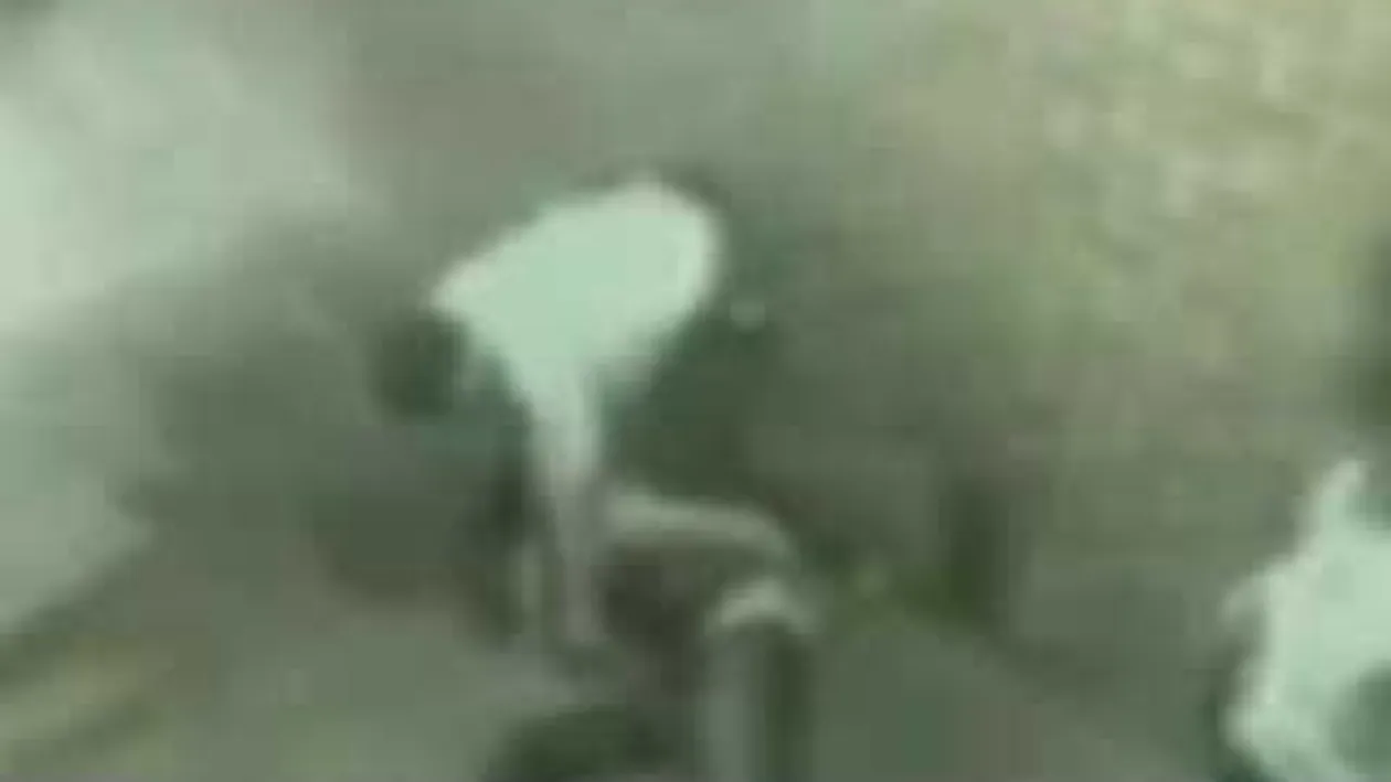 VIDEO Un politist ii indeasa furtunul de apa pe gat unui suspect ca sa obtina o marutrie