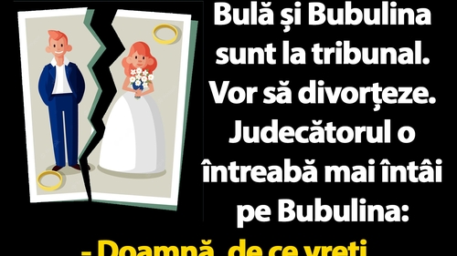 BANC | Bulă și Bubulina, divorț la tribunal