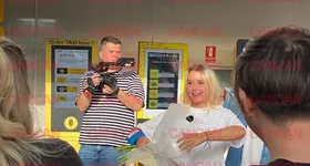 Galerie foto - poza 1