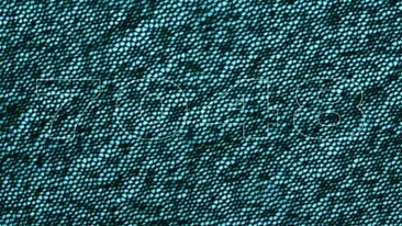 Test de inteligență | Doar 1 dintre 10.000 de oameni poate spune ce număr se ascunde în această imagine