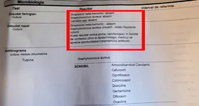 Galerie foto - poza 1