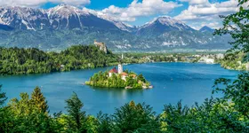 Galerie foto - poza 3