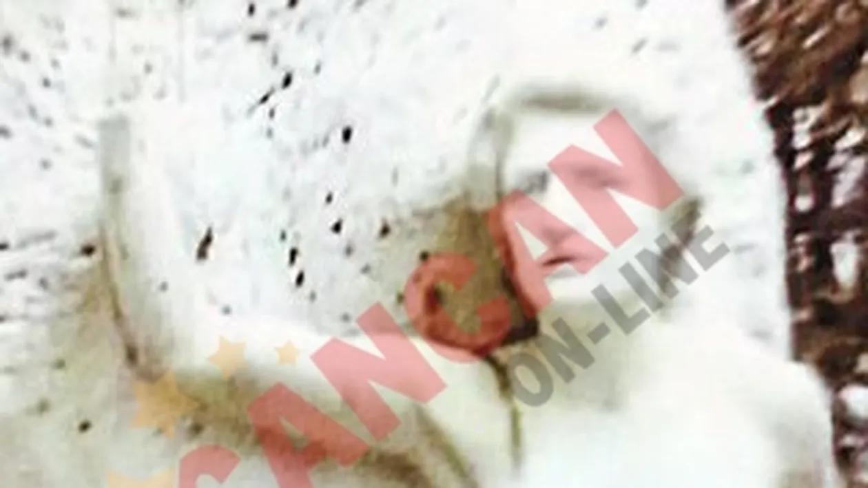 A furat de 12 ori mana muzei lui Eminescu