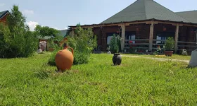 Galerie foto - poza 3