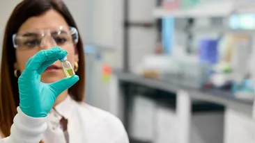 Alertă epidemiologică în România! S-a răspândit virusul ”limbii albastre” și în țara noastră