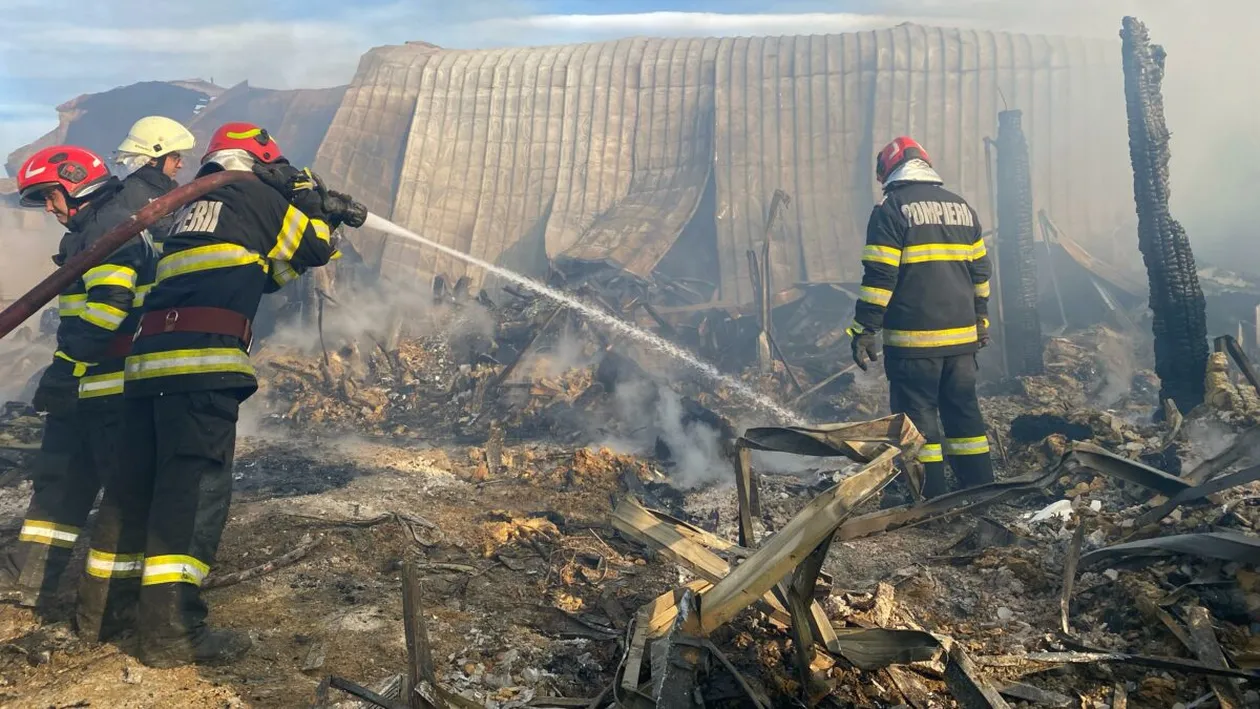 Mărturisiri exclusive despre cei doi frați morți în incendiul de la Ferma Dacilor. „A vrut să doarmă la mansardă”