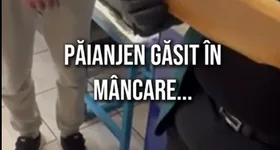 Galerie foto - poza 4