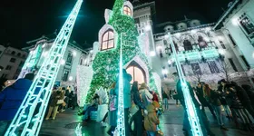 Galerie foto - poza 4