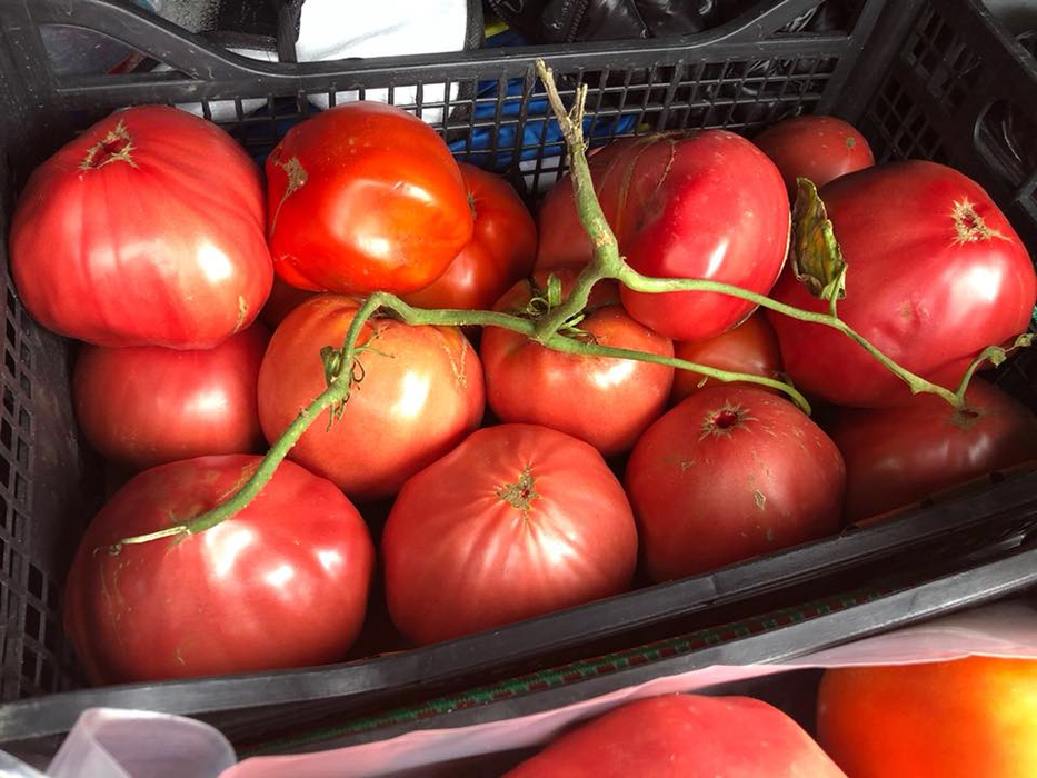 Fermierii olteni speră să obțină, în primă fază, 15 lei pe kilogramul de roșii