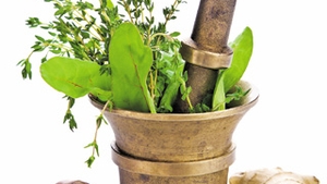 Medicina apeleaza din ce in ce mai des la puterea naturii! Plantele ne ofera solutia "verde"