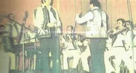 Galerie foto - poza 2