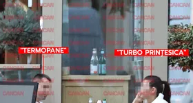 Galerie foto - poza 2