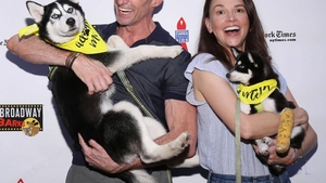 Wolverin are iubită nouă, la 16 luni de la divorț! Hugh Jackman și Sutton Foster au recunoscut tot