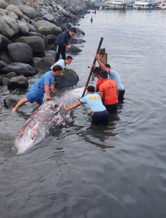 sursă foto: Facebook: Coast Guard District Southeastern Mindanao