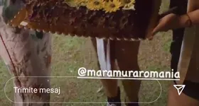 Galerie foto - poza 2