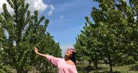 Galerie foto - poza 1