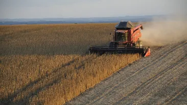 Avertisment: ”E iminentă o criză alimentară în România!” PSD solicită Guvernului să declare stare de calamitate naturală