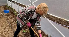 Galerie foto - poza 4