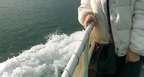 Galerie foto - poza 1