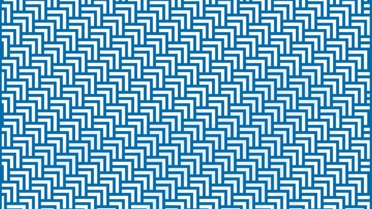 Test de inteligență pentru genii | Ce animal vezi în această iluzie optică?