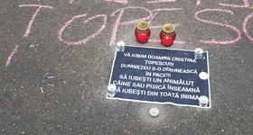 Galerie foto - poza 2