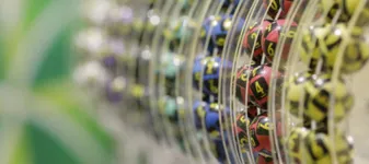 „O minune care mi-ar putea salva viaţa”. Câștigătoarea celui mai mare premiu din istoria jocului Loto 6/49 și-a ridicat banii