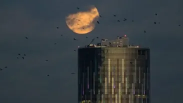Cum a fost văzută cea mai mare Super Lună din ultimii 70 de ani, în România! FOTO