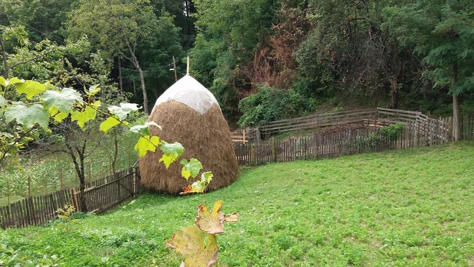 „Muzeul locuit” sau „Muzeul în aer liber din Prahova”, o zonă de poveste în care timpul parcă s-a oprit în loc 