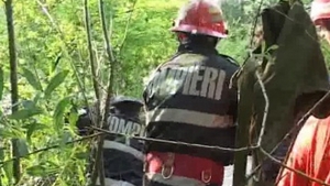 O femeie a fost rănită de un copac doborât de vânt, în zona Piaţa Presei Libere