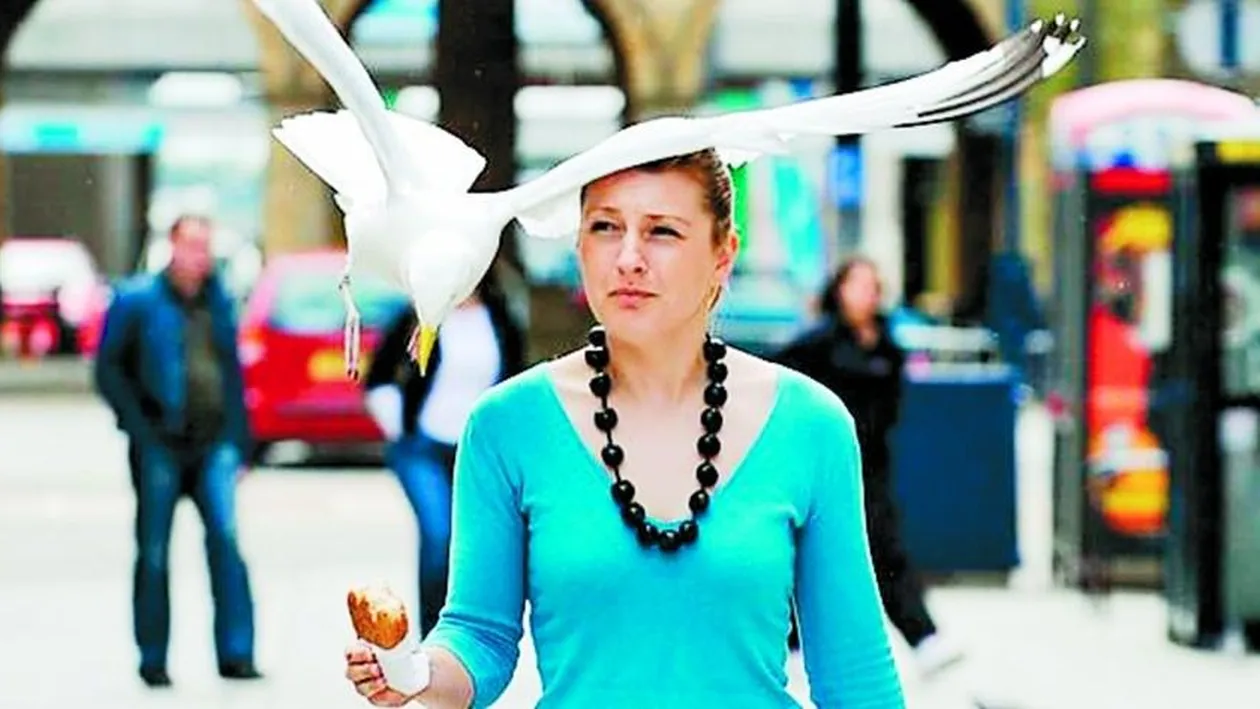 Atacata ca in Pasarile lui Hitchcock