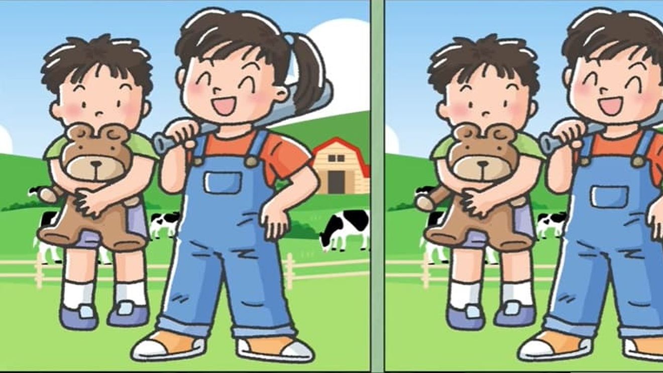 Test de perspicacitate | Câte diferențe există între aceste două poze?