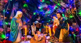 Galerie foto - poza 2