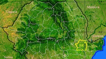 Rezultate Evaluarea Națională 2019 (Capacitate) Brăila