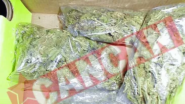 Pensionar cu marijuana de un milion de dolari