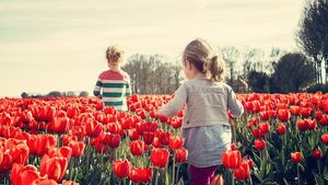 Prognoza meteo 16 martie: Vreme frumoasă și valori mai ridicate decât cele normale