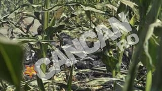 Fragmentele din epava elicopterului cazut, stranse din lanul de porumb, dupa o noapte de cautari