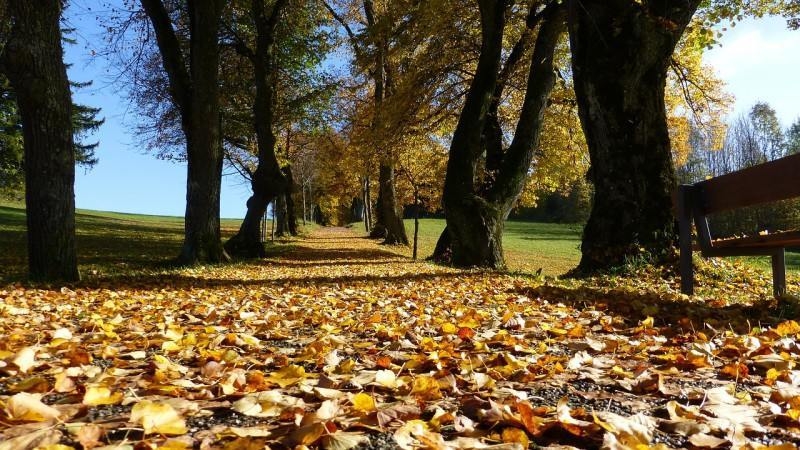 METEO 1 OCTOMBRIE! Vremea se va menţine rece