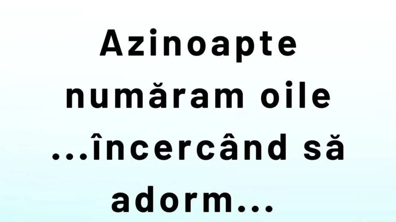 BANC | De ce se numără oile noaptea
