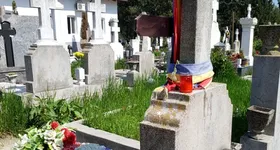 Galerie foto - poza 4