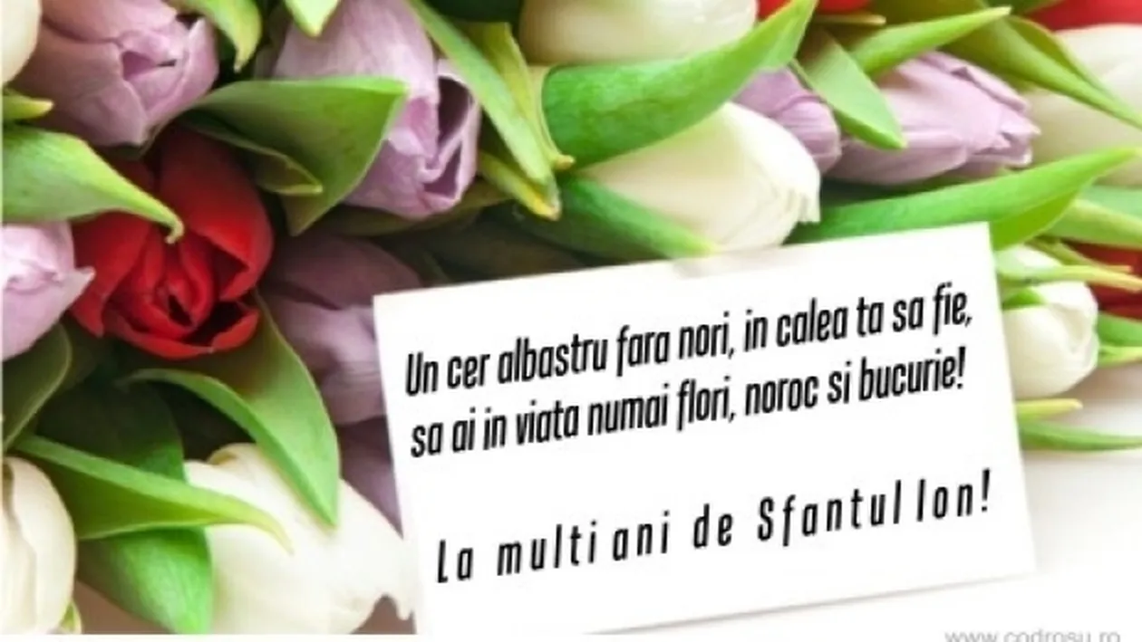 Mesaje de Sf. Ion! Urări şi felicitări pentru cei dragi la îndemână când inspiraţia te lasă