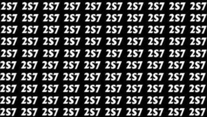 Test de perspicacitate | Găsiți numărul 257 în cel mult 5 secunde!