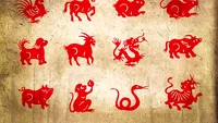 Horoscopul chinezesc pentru săptămâna 15-21 februarie. Gena Rusu, avertizări pentru nativii zodiilor Șarpe și Tigru