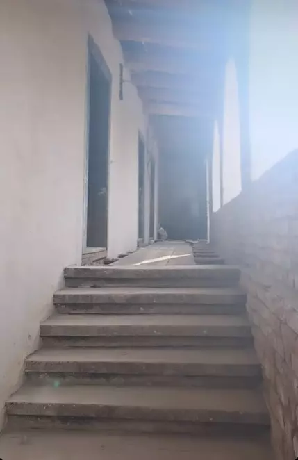 Dana Rogoz, vecină cu Regele Charles! Cum arată casa din Viscri. FOTO