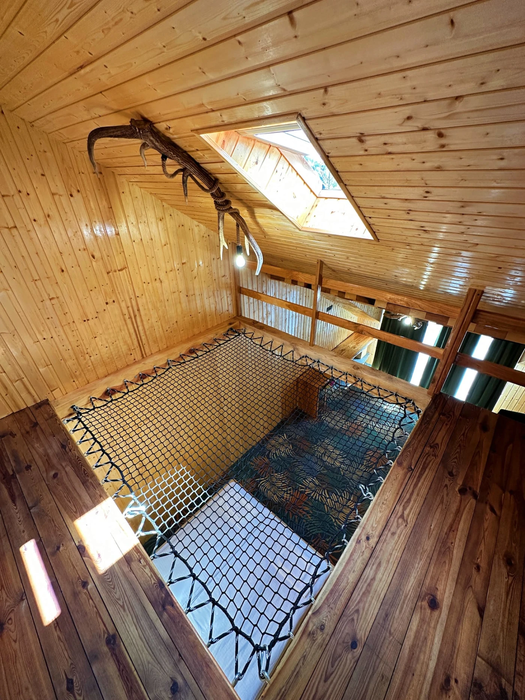 Pensiune Siriu Buzz House 3