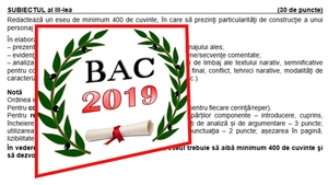 BAC 2019. Ce subiecte au picat la proba scrisă de la Limba și literatura română. Real și Uman