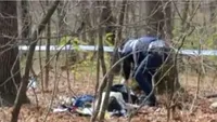 Tânăr de 18 ani, găsit mort în pădure. Ce au descoperit oamenii legii 